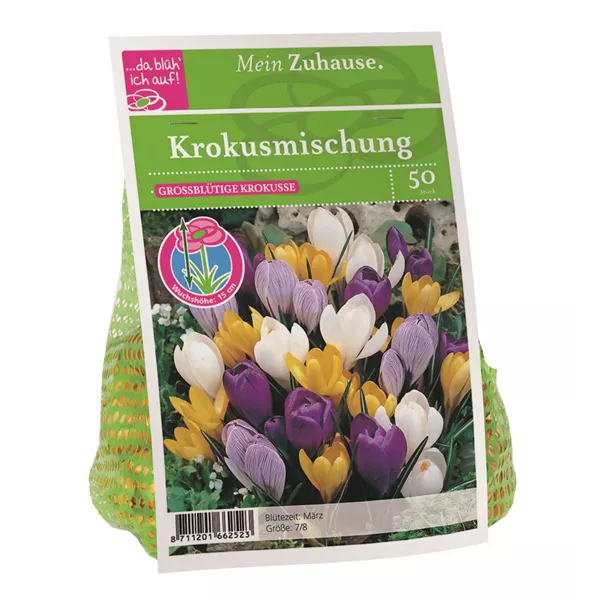 Blumenzwiebel Krokus Mischung