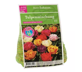 Blumenzwiebel Tulpe Gefüllte Mischung