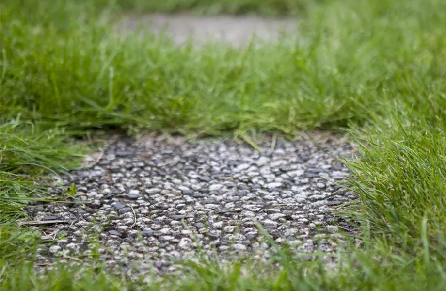 Neue Gartenwege anlegen