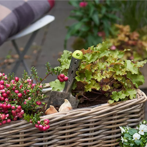 Gartenkalender Oktober 2024