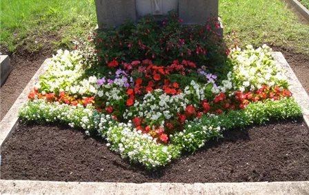 gal_friedhof_saisonbepflanzung_sommer_gaertnerei_nuernberg_nord_01.jpg